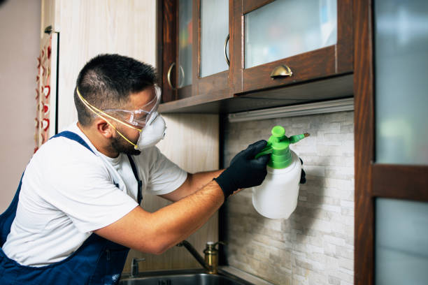 Best Cockroach Control Services  in Sun Valley, PA