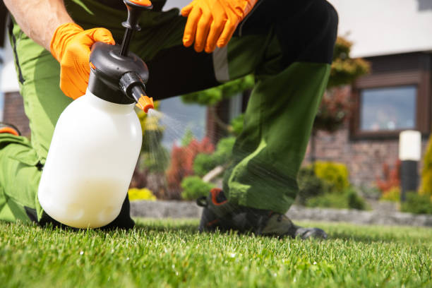 Wasp Removal Services in Sun Valley, PA