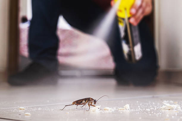 Best Local Pest Control Services  in Sun Valley, PA